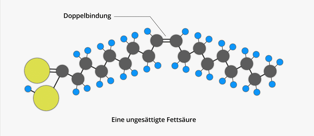 Abbildung 1: https://workshopernaehrung.de/fettsaeuren/